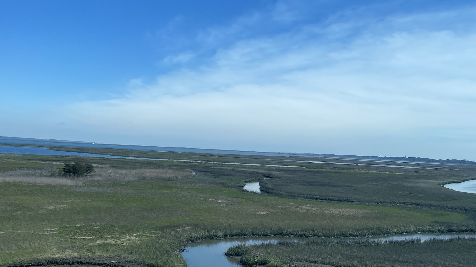 Picture of intertidal area